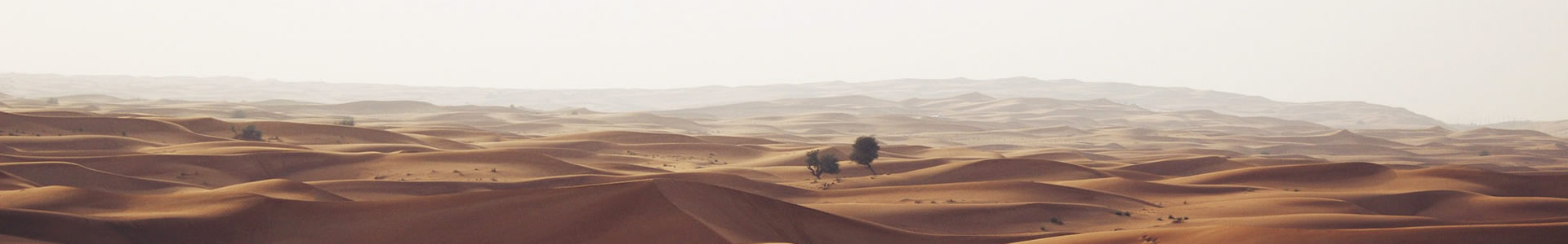 óϻеƼ޹˾